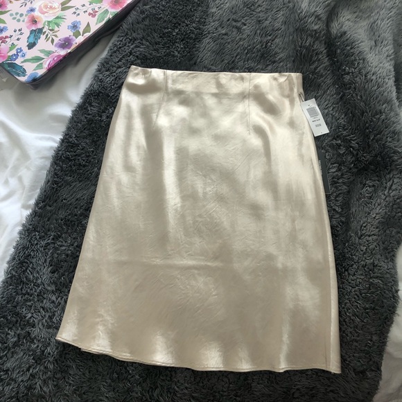 Aritzia Slip Skirt - Picture 4 of 4